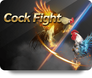 KUBET Game Bài Hot: Tips and Tricks for New Players
